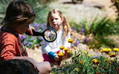 Connect with Nature Around Burleigh Heads with NaturallyGC Gold Coast