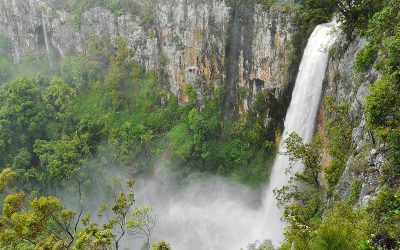 Witness Purling Brook Falls